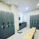 수리산호랑이