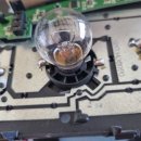 전라카센타 이미지