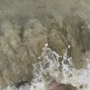 브라운도트호텔(송도해수욕장점) 이미지