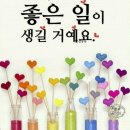 지에스25대조포인트점 | 선물받은 네이버페이 포인트 쿠폰 등록 방법 및 사용처 총정리, 기프티쇼 등록 꿀팁!