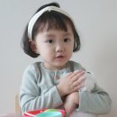 리틀마이펫 이미지