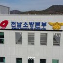 나무밭 이미지