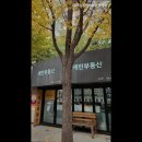 압구정리얼티부동산중개 | 없는 깔끔한 공인중개사사무소] 압구정케빈부동산중개법인 압구정케빈부동산, 정직한 중개로 신뢰도 높아