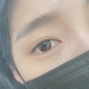 멜리래쉬 네이버블로그
