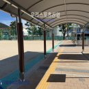 창녕초등학교 티스토리