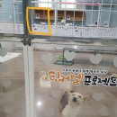 개구멍
