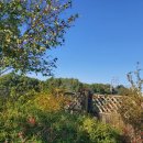 가정의 달 기념 ’사랑의 음악회’ | [공지] 화창한 10월 가을날에 의정부주간보호 연지곤지 가을음악회 대박