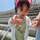 군산 신시도 민박 1박 3식 정다운 횟집 후기