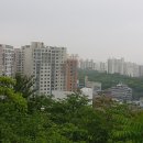 신금호부동산공인중개사사무소 조선일보