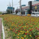 와동교차로 이미지