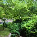 반도철물 | 마음이 편안해지는 전라도 부안 내소사 다녀왔습니다^^ 여름여행 부안가볼만한곳 전라도가볼만한곳...