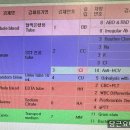 임신34주차 세브란스 막달검사, 임산부교통지원금, 출산가방준비, 복지로 산후도우미 신청