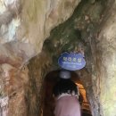 왕피천 숲속 캠핑장 이미지