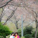 자연과사람들 이미지