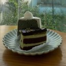 숲속애견샵 | 양평 숲 속의 애견동반 대형카페 ‘레스트’ 후기