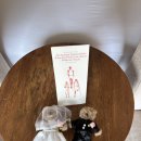 문화카도크 | (내돈내산) 아모트레블 탄자니아 사파리신혼여행후기♥️-1편