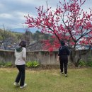 아지매민박 이미지