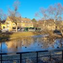 P양과C군 이미지