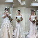 [W6.] 루이즈블랑 지정 촬영드레스 가봉 후기