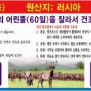 평내종합광고 네이버블로그