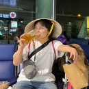 타이거 주짓수 | 떼로&amp;지머떼라]베트남 여행/ 호치민시티 경유/ 떤셧넛 공항/ 호치민 여행 /주짓수/ 주짓수여행/송탄주짓수