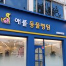 진성동물병원 티스토리