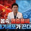 줄기세포 정맥주사는 어떻게 염증을 줄일까? 사람 대상 연구 3편으로 확인했습니다 이미지