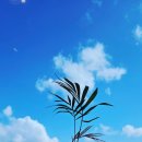 맛고을감자탕 본점 이미지