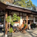 카페테라(Cafe tera) | 도쿄타워 근처 카페 │ 테라 카페 시엔 조죠지 Tera Cafe Shien Zojo ji 시바공원 도쿄타워뷰 카페 추천