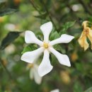 지리산산하루 이미지