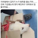 누 이미지