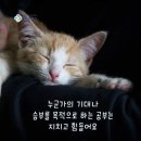 신천동로 이미지