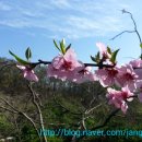 쌍용주유소 이미지