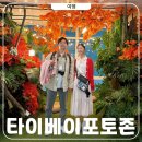 PHOTO 101 | 타이베이101 포토스팟 89층 입장권 패스트트랙 살까말까