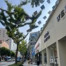 더멋짐피트니스 | [부산/연산] 멋짐 피트니스 연산점 후기