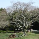 글라라목장 이미지