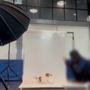 리본펫 | 강동 리본센터 사진 봉사 후기 [모먼트펫 스튜디오]