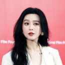 판빙빙 카카오 검색결과