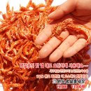 세일건어물