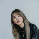 옐로 일간스포츠