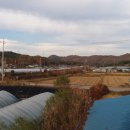 다온농원 이미지