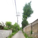 오동목장 Daum카페
