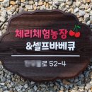 체리체험농장&셀프바베큐