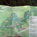 중앙닭집식당 이미지