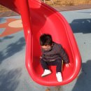 고래들공원 이미지