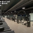 포레스포 이미지