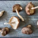 남성슈퍼 이미지