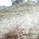 명성산 등산로 이미지