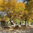 햇살아래캠핑장 이미지