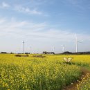 제주의사계 이미지